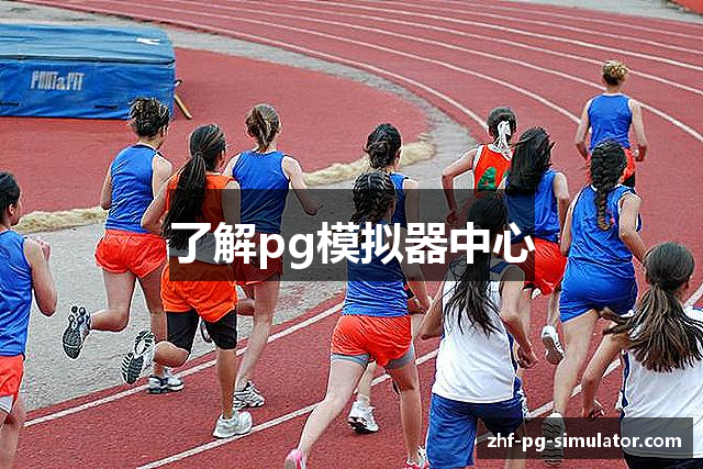 了解pg模拟器中心